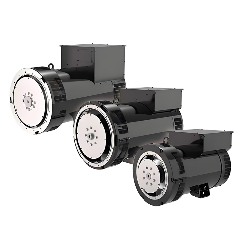 利莱森玛低压发电机